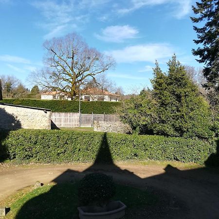 Chateau De Saint-Antoine Bonnac-la-Côte Zimmer foto
